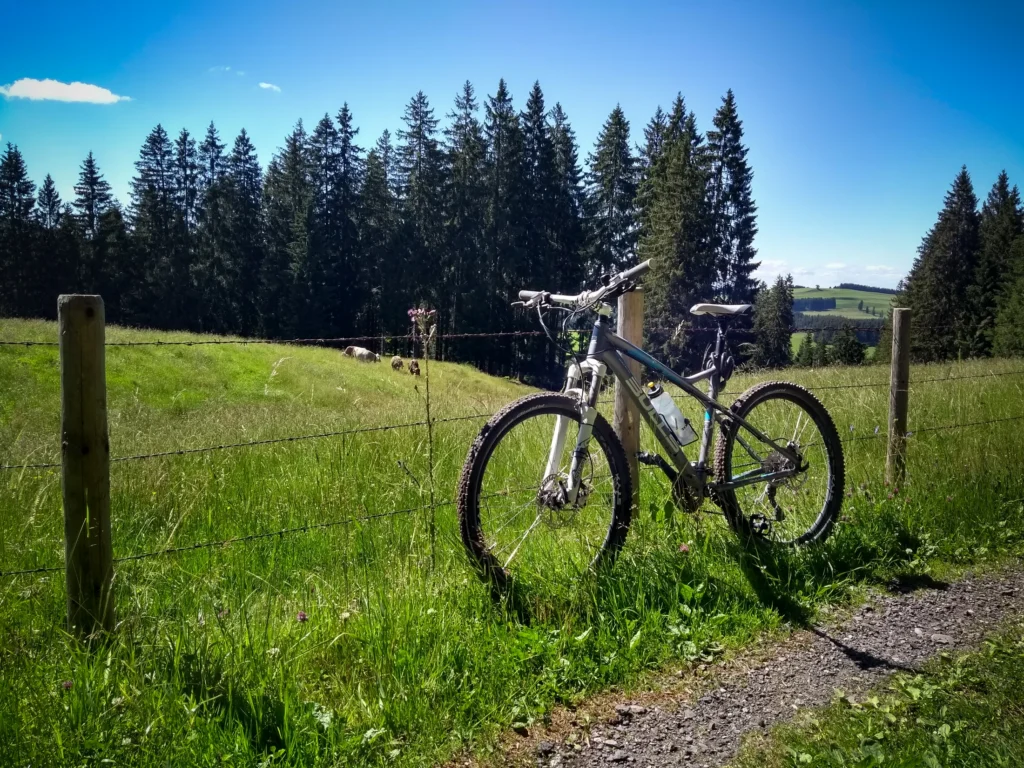 Mountainbike an einem Wiesenweg im Oberallgäu